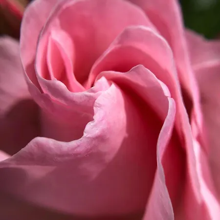 Il Rifugio Delle Rose Affittacamere